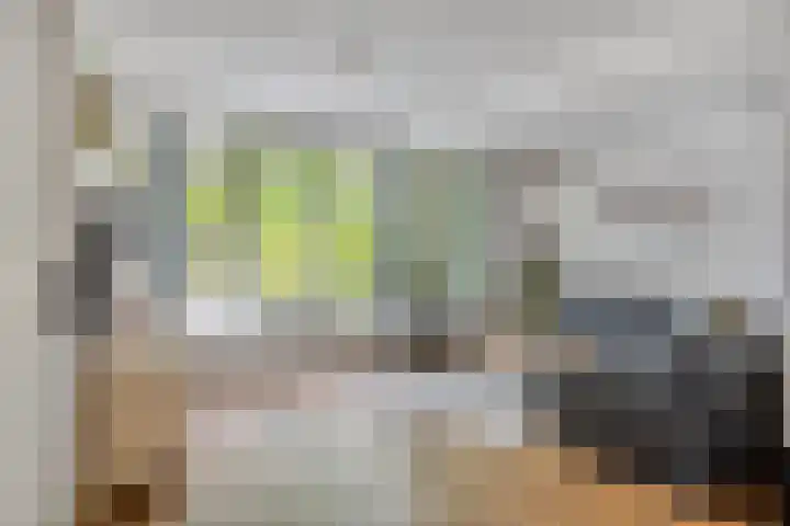 Draviklaan 2 Nuenen thumbnail 6