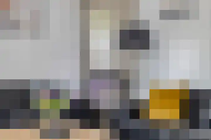 Draviklaan 2 Nuenen thumbnail 8