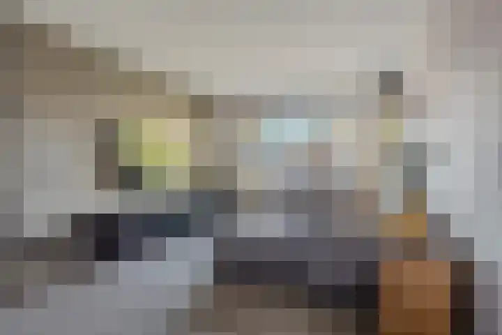 Dravikstraat 8 Geldrop thumbnail 10
