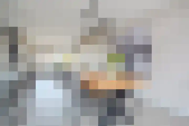 Dravikstraat 8 Geldrop thumbnail 17