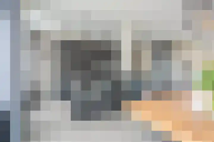 Dravikstraat 8 Geldrop thumbnail 19