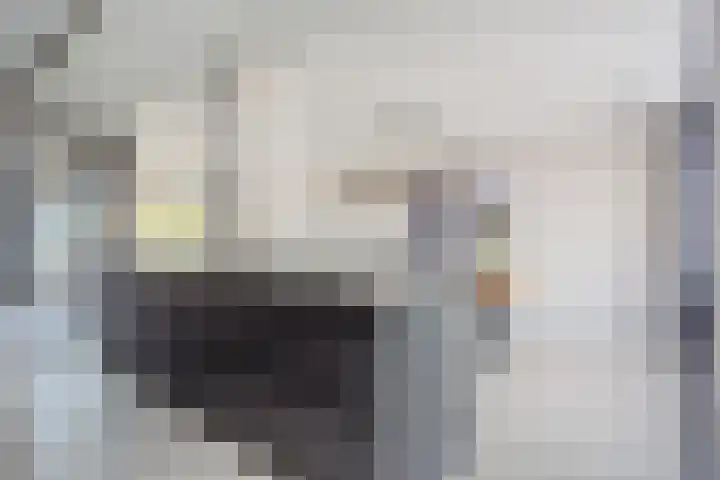 Dravikstraat 8 Geldrop thumbnail 21