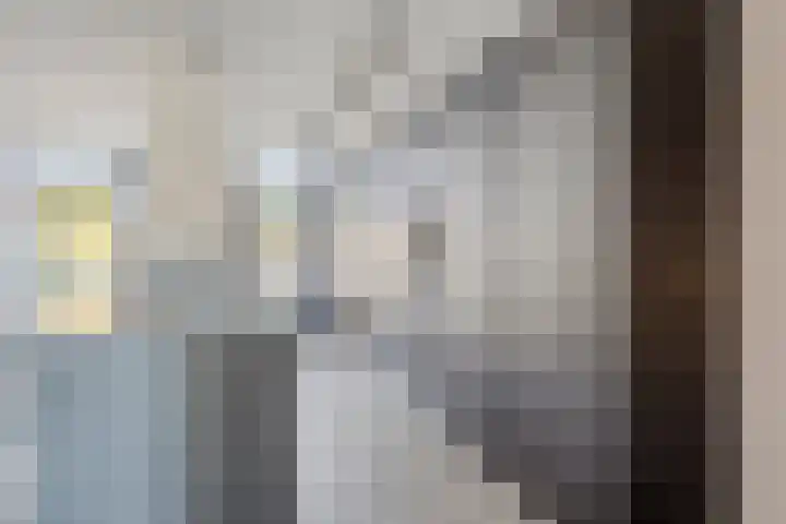 Dravikstraat 8 Geldrop thumbnail 23