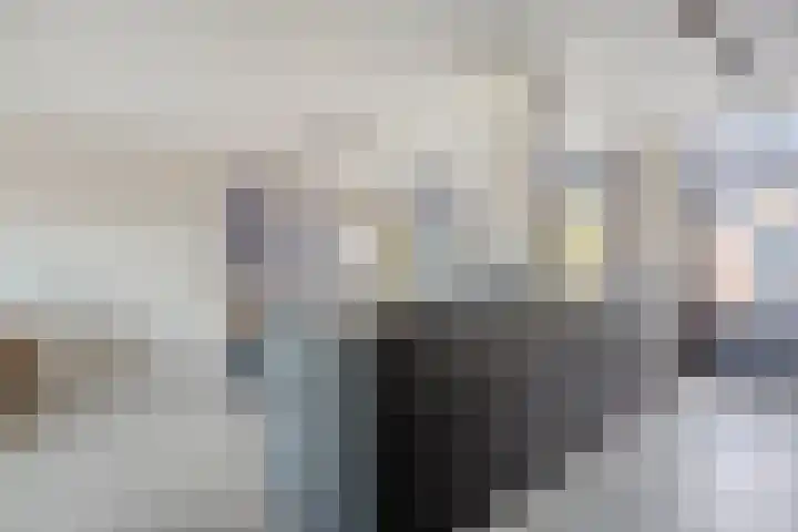 Dravikstraat 8 Geldrop thumbnail 24