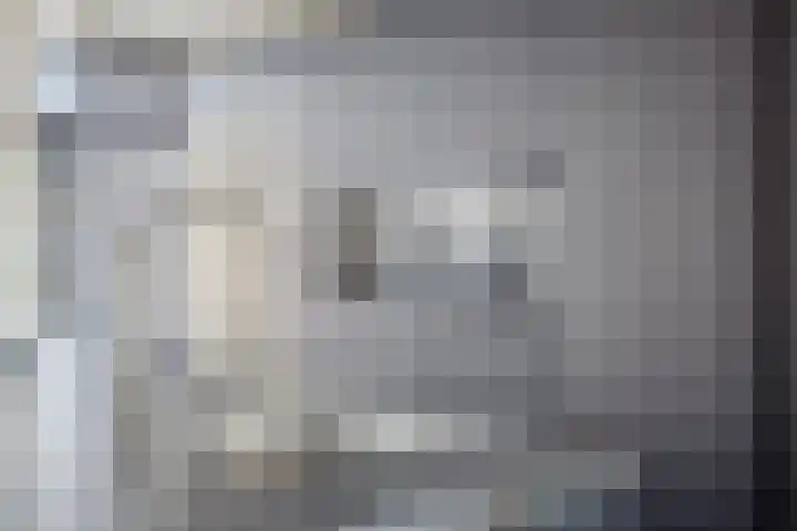 Dravikstraat 8 Geldrop thumbnail 26