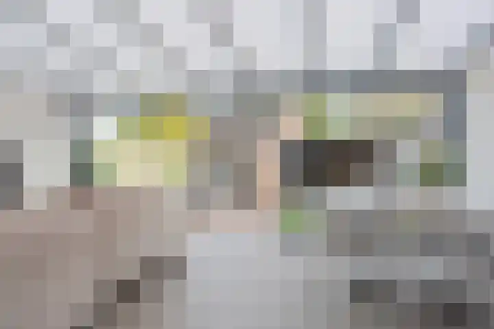 Dravikstraat 8 Geldrop thumbnail 28