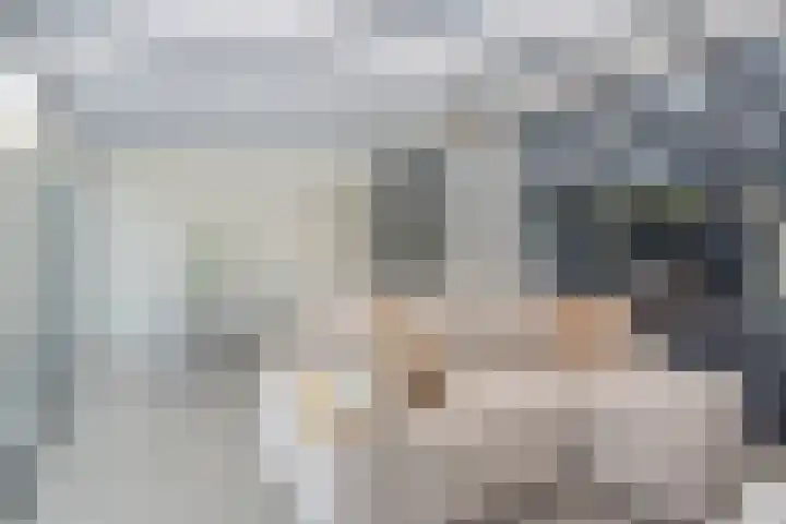 Dravikstraat 8 Geldrop thumbnail 29