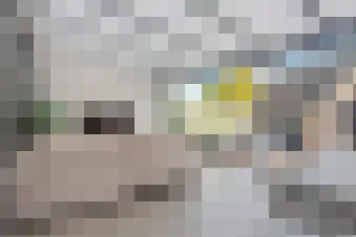 Dravikstraat 8 Geldrop thumbnail 30