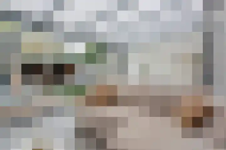 Dravikstraat 8 Geldrop thumbnail 31