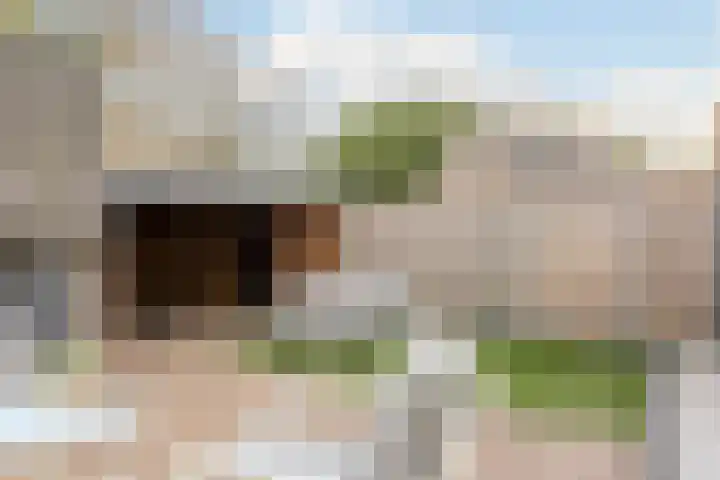 Dravikstraat 8 Geldrop thumbnail 33