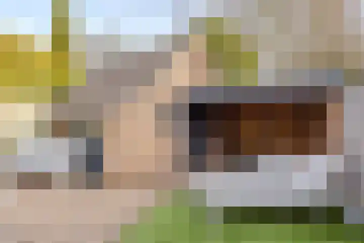 Dravikstraat 8 Geldrop thumbnail 35