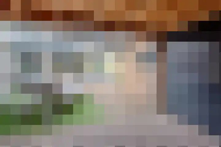 Dravikstraat 8 Geldrop thumbnail 36