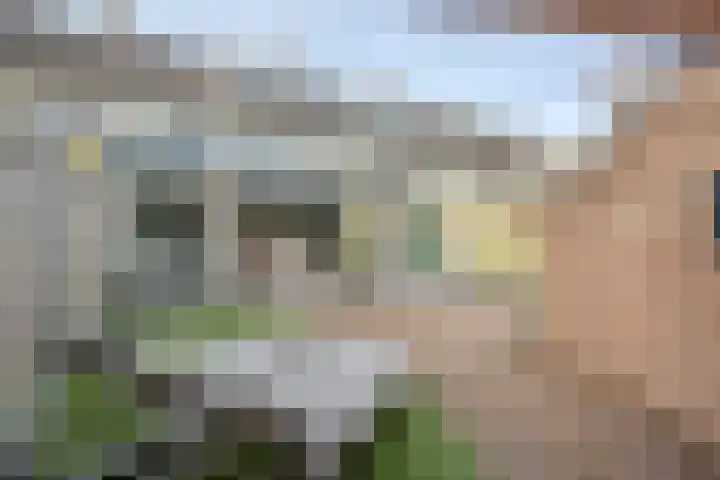 Dravikstraat 8 Geldrop thumbnail 37