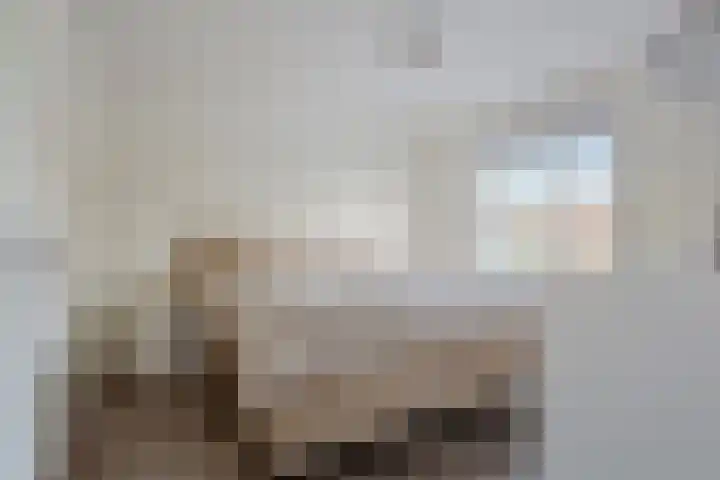 Dravikstraat 8 Geldrop thumbnail 41