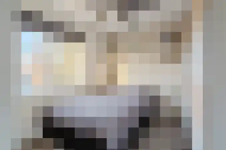 Dravikstraat 8 Geldrop thumbnail 43