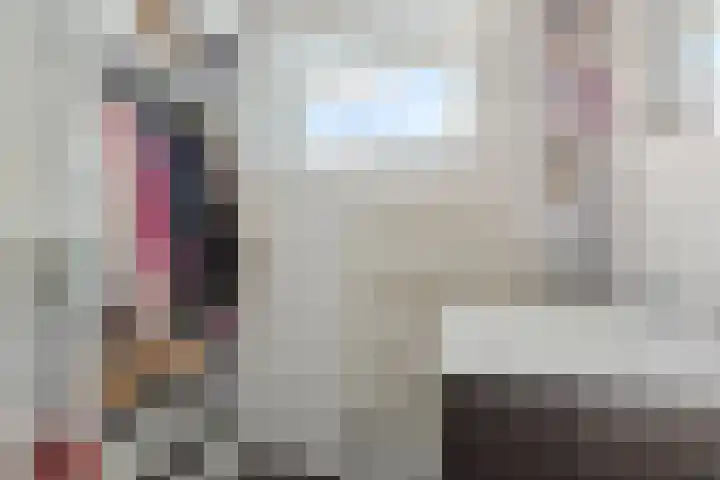 Dravikstraat 8 Geldrop thumbnail 46