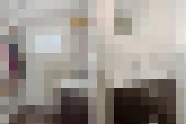 Dravikstraat 8 Geldrop thumbnail 47