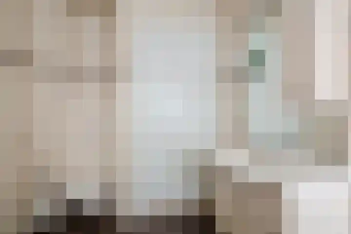 Dravikstraat 8 Geldrop thumbnail 49