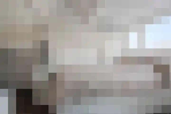 Dravikstraat 8 Geldrop thumbnail 53