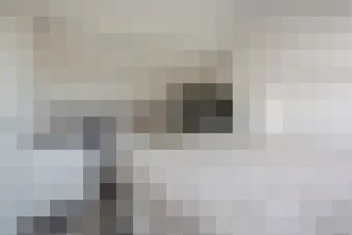 Dravikstraat 8 Geldrop thumbnail 54