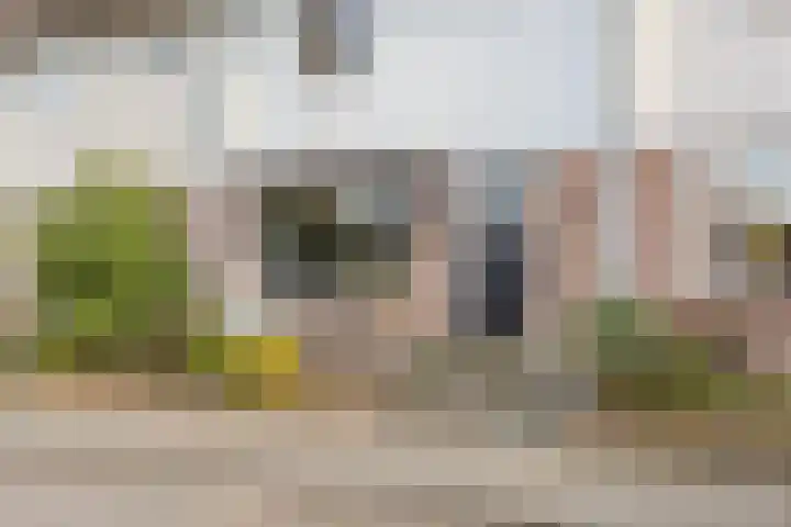 Dravikstraat 8 Geldrop thumbnail 58