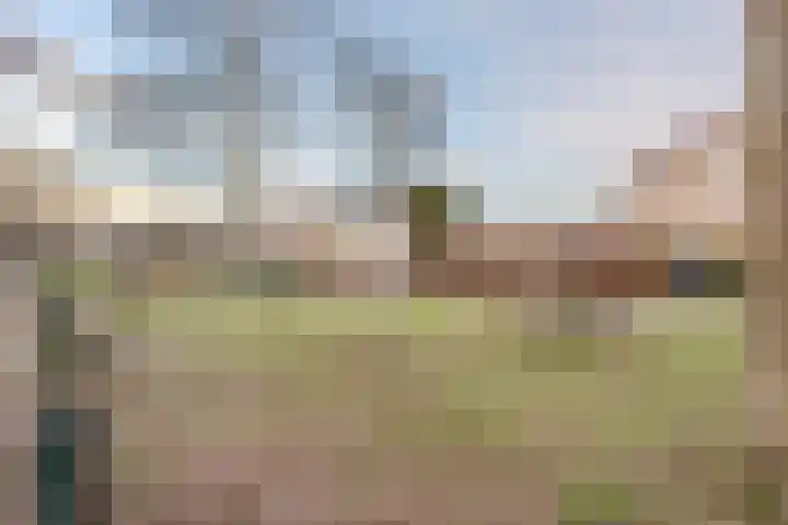 Dravikstraat 8 Geldrop thumbnail 60