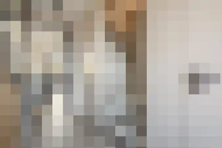 Dravikstraat 8 Geldrop thumbnail 8