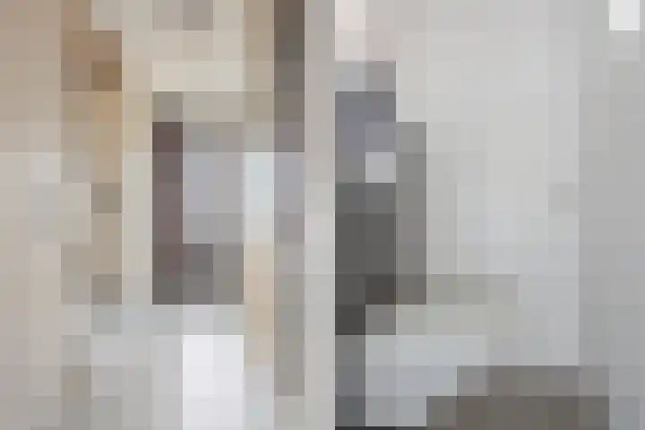 Dravikstraat 8 Geldrop thumbnail 9