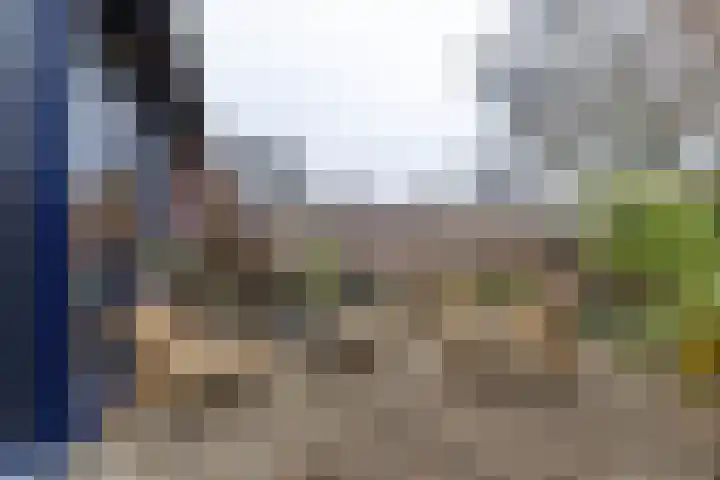 Dravikweg 4 Haren Gn thumbnail 39