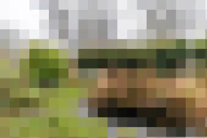 Dravikweg 4 Haren Gn thumbnail 42