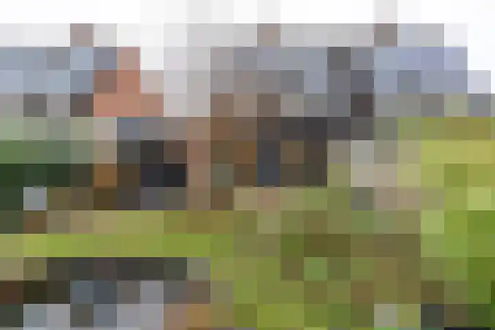 Dravikweg 4 Haren Gn thumbnail 44