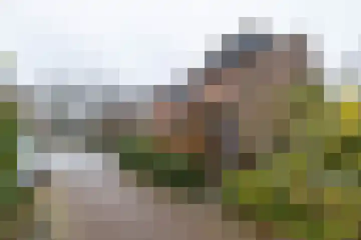 Dravikweg 4 Haren Gn thumbnail 5
