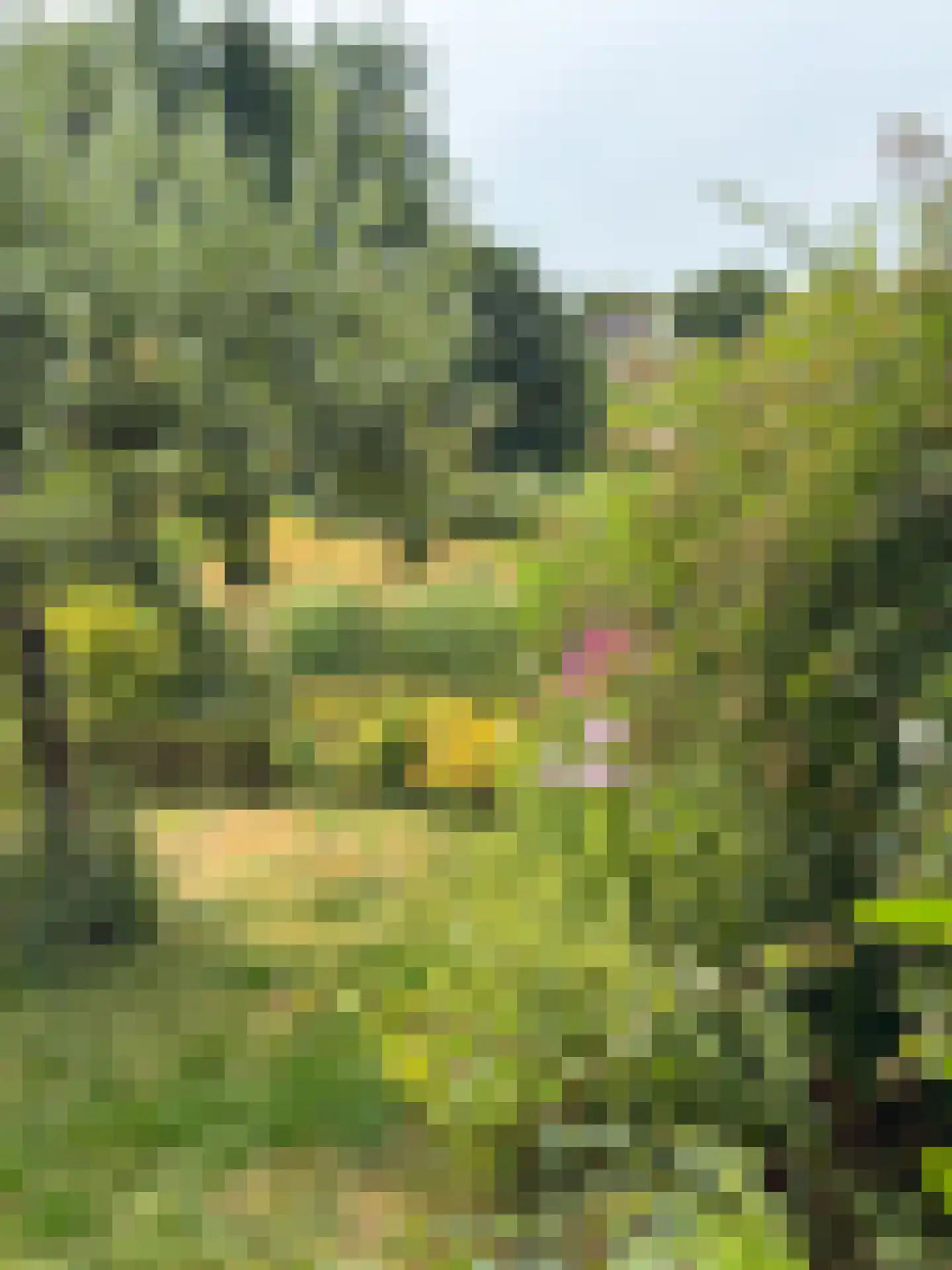 Dravikweg 6 Bergen (NH) thumbnail 32