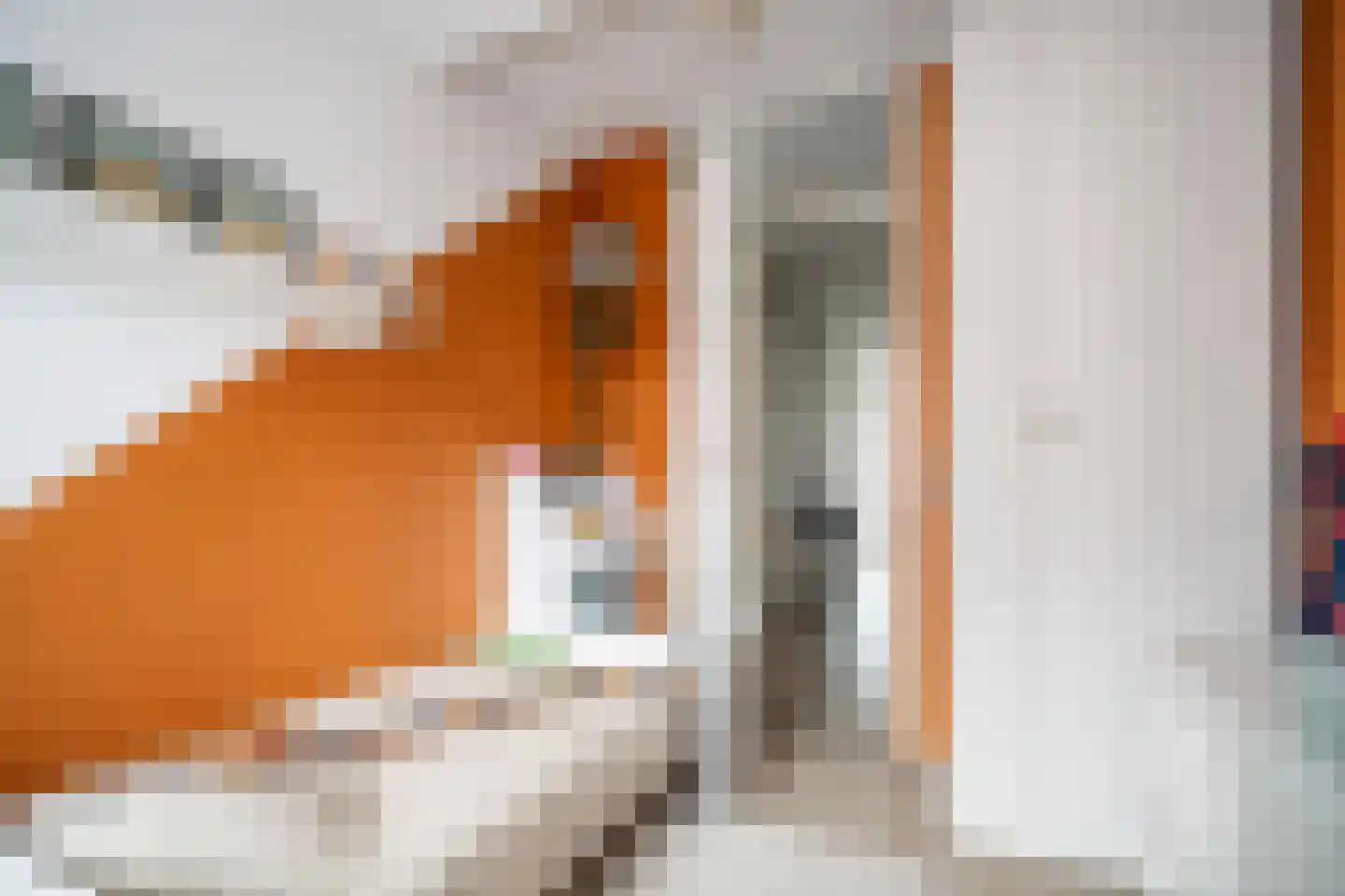 Drebbelstraat 2 C Den Haag thumbnail 37