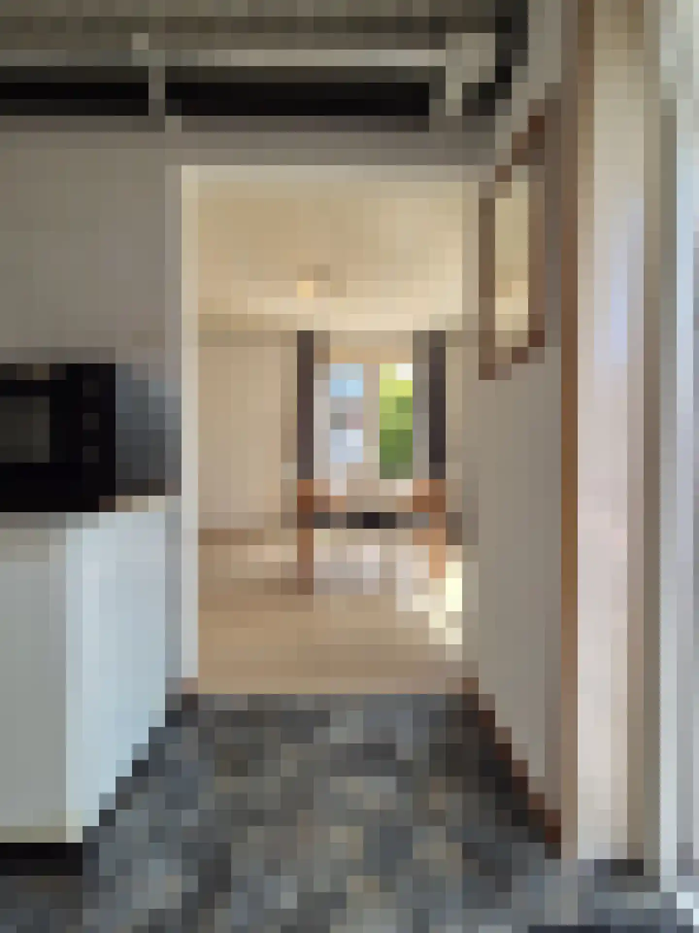 Drebbelstraat 293 Den Haag thumbnail 21