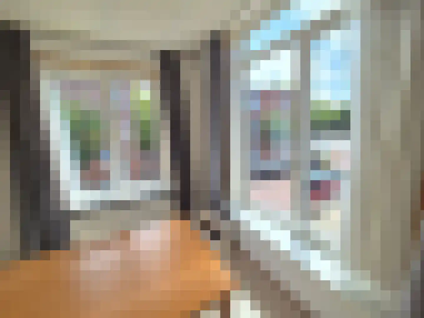 Drebbelstraat 293 Den Haag thumbnail 7
