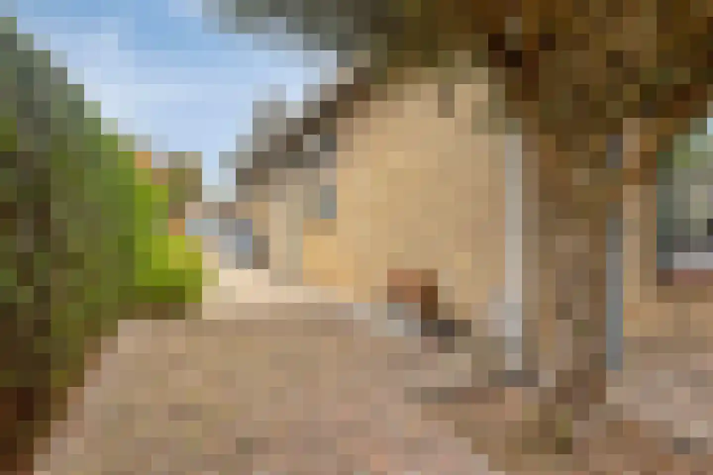 Drebbelstraat 34 Terneuzen thumbnail 47