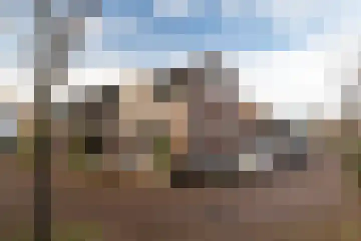 Drebbelstraat 5 in Alkmaar