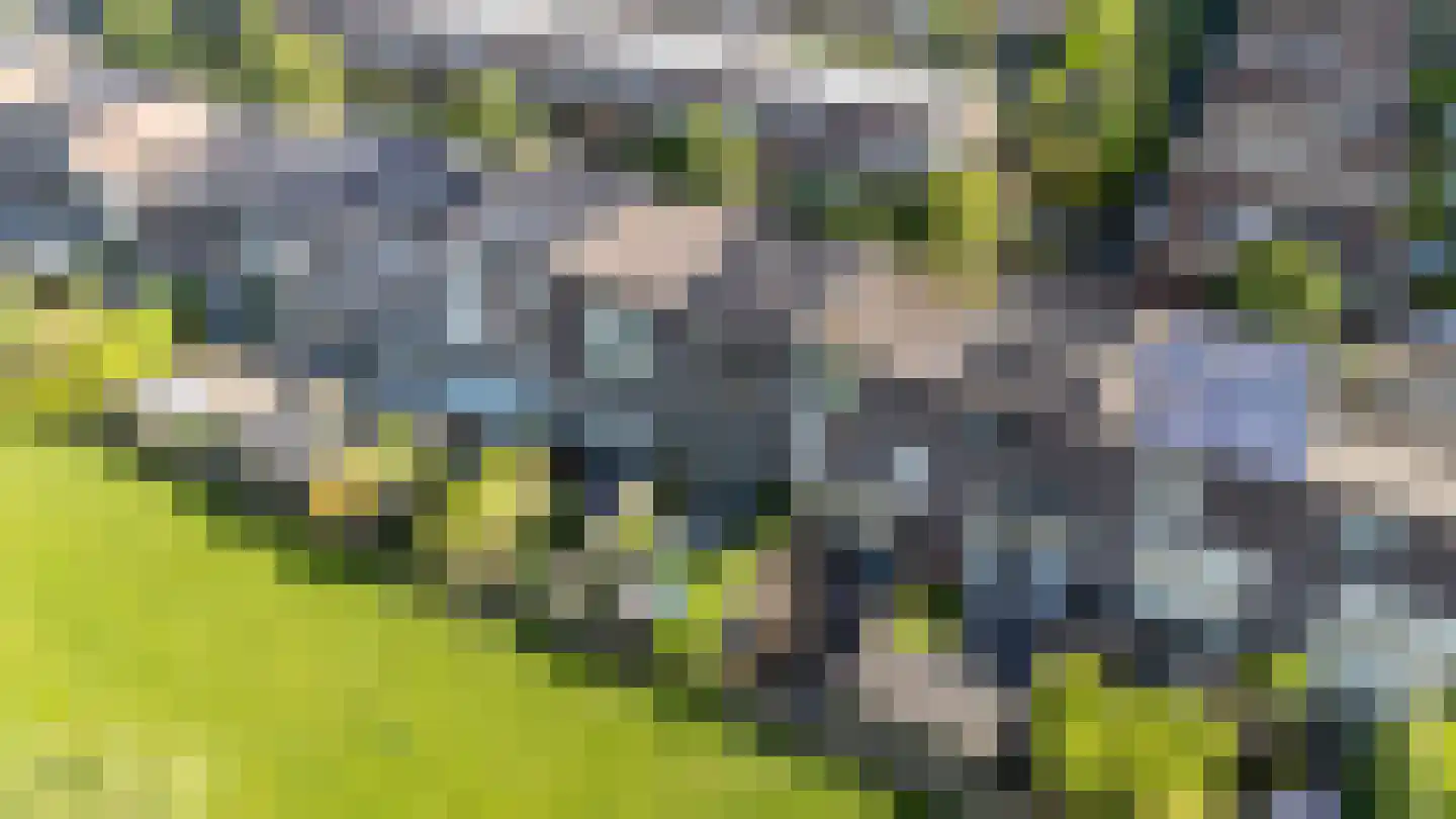 Drecht 10 De Meern thumbnail 11