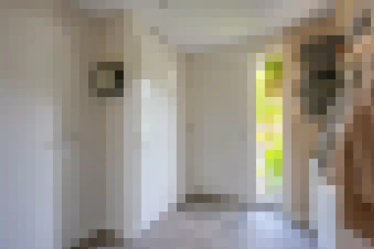Drecht 10 De Meern thumbnail 14
