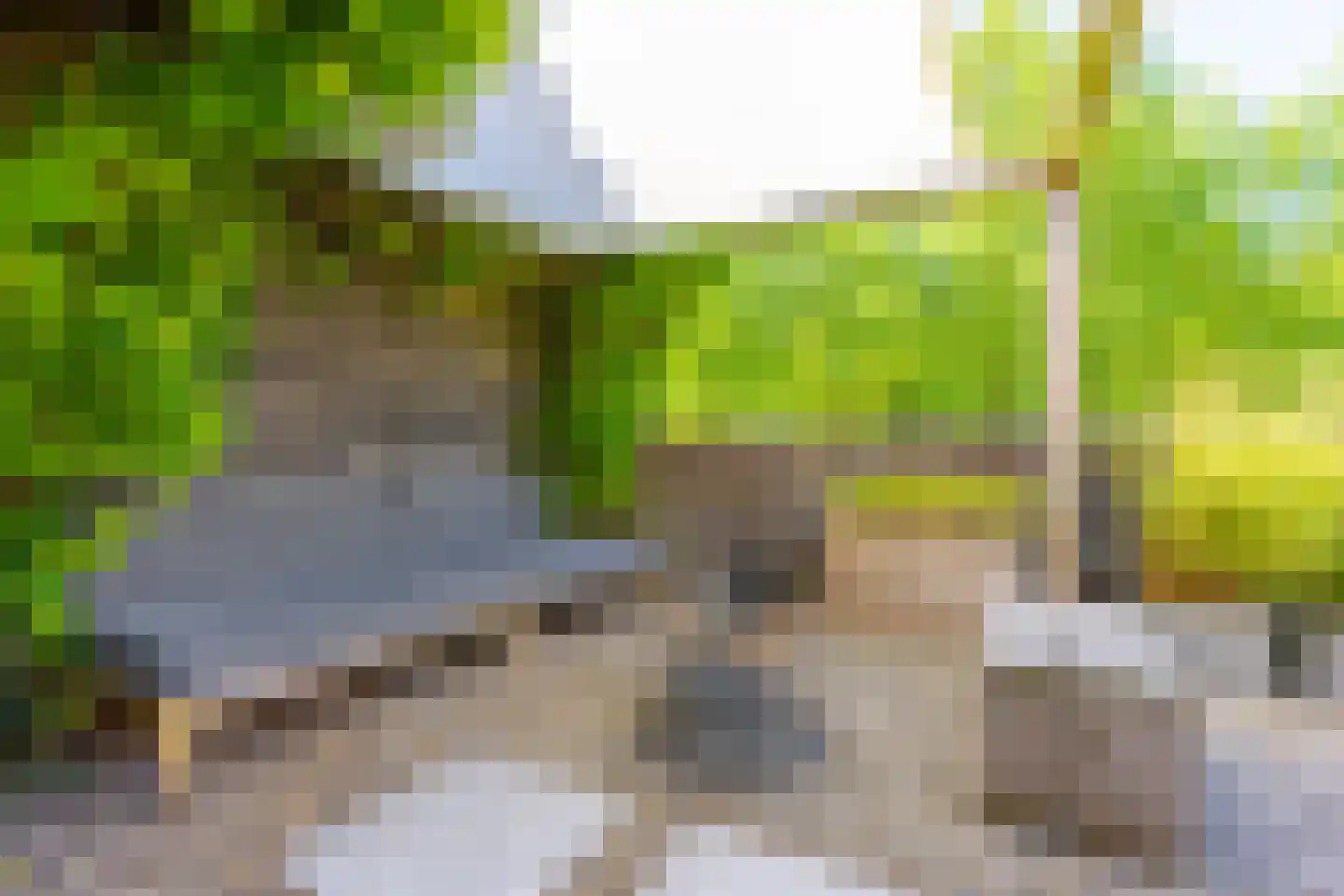Drecht 10 De Meern thumbnail 25