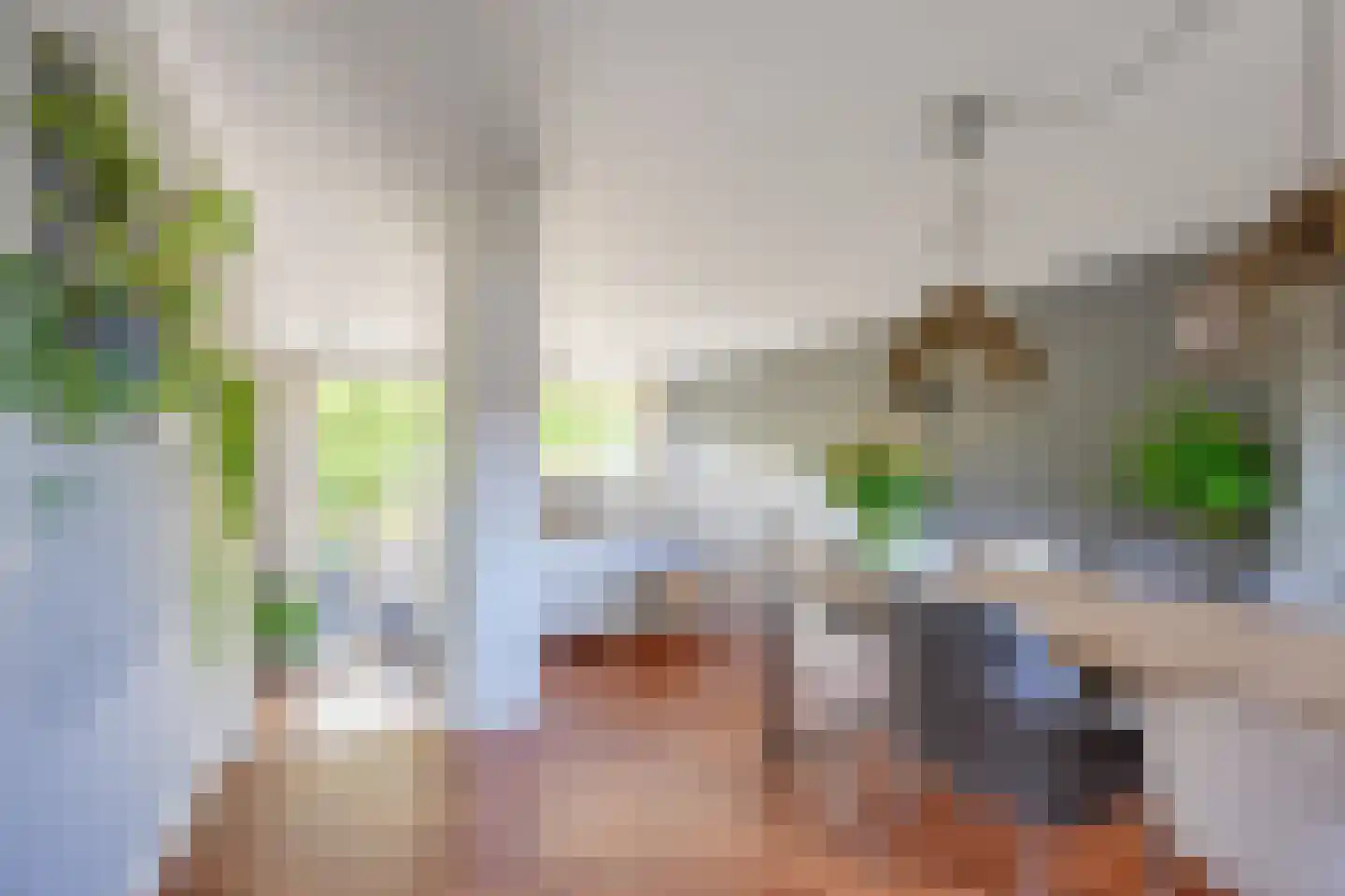 Drecht 10 De Meern thumbnail 29