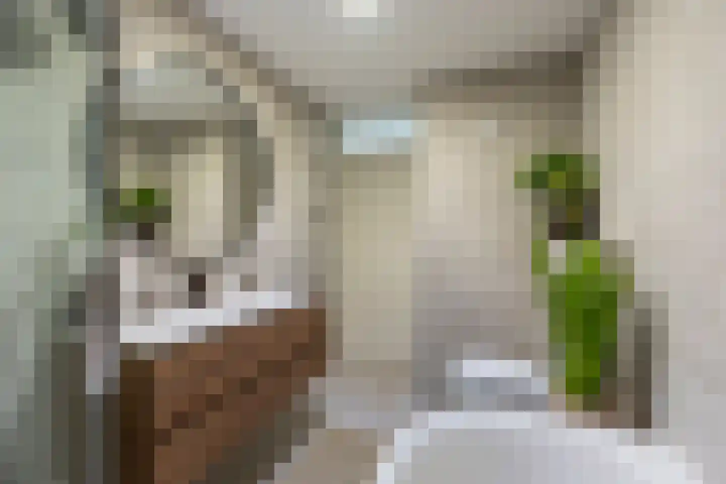 Drecht 10 De Meern thumbnail 46