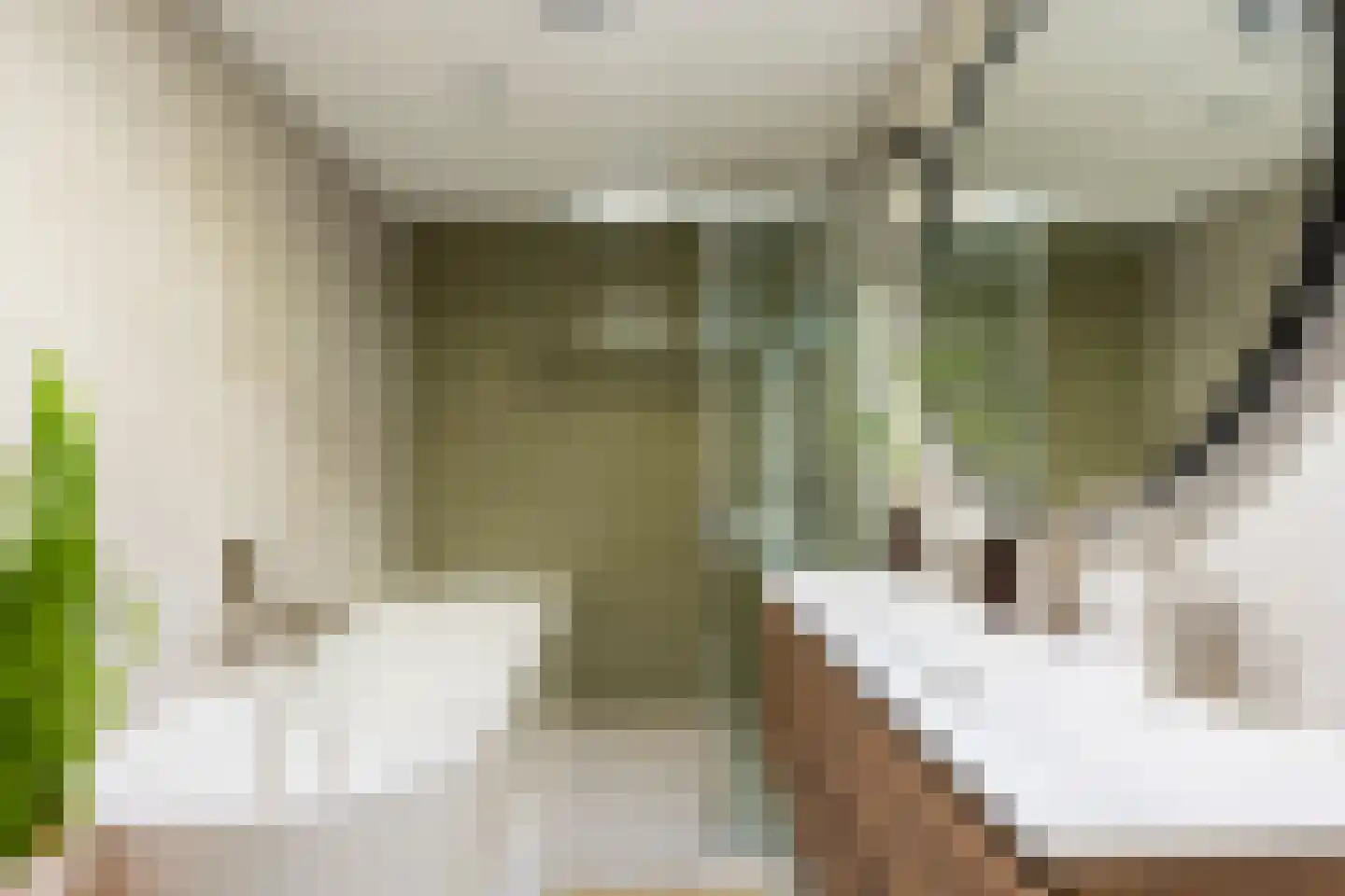Drecht 10 De Meern thumbnail 48