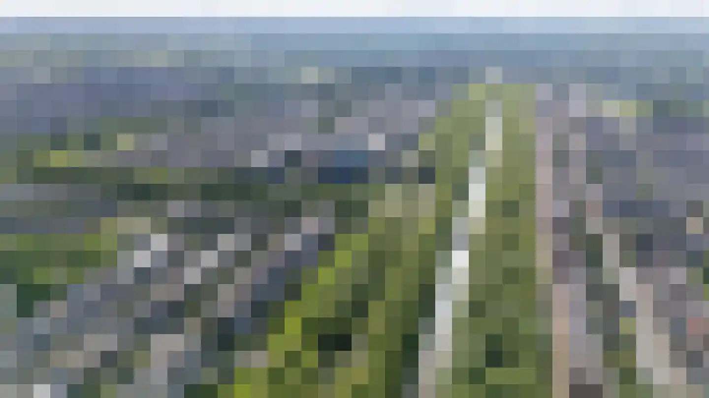 Drecht 10 De Meern thumbnail 57