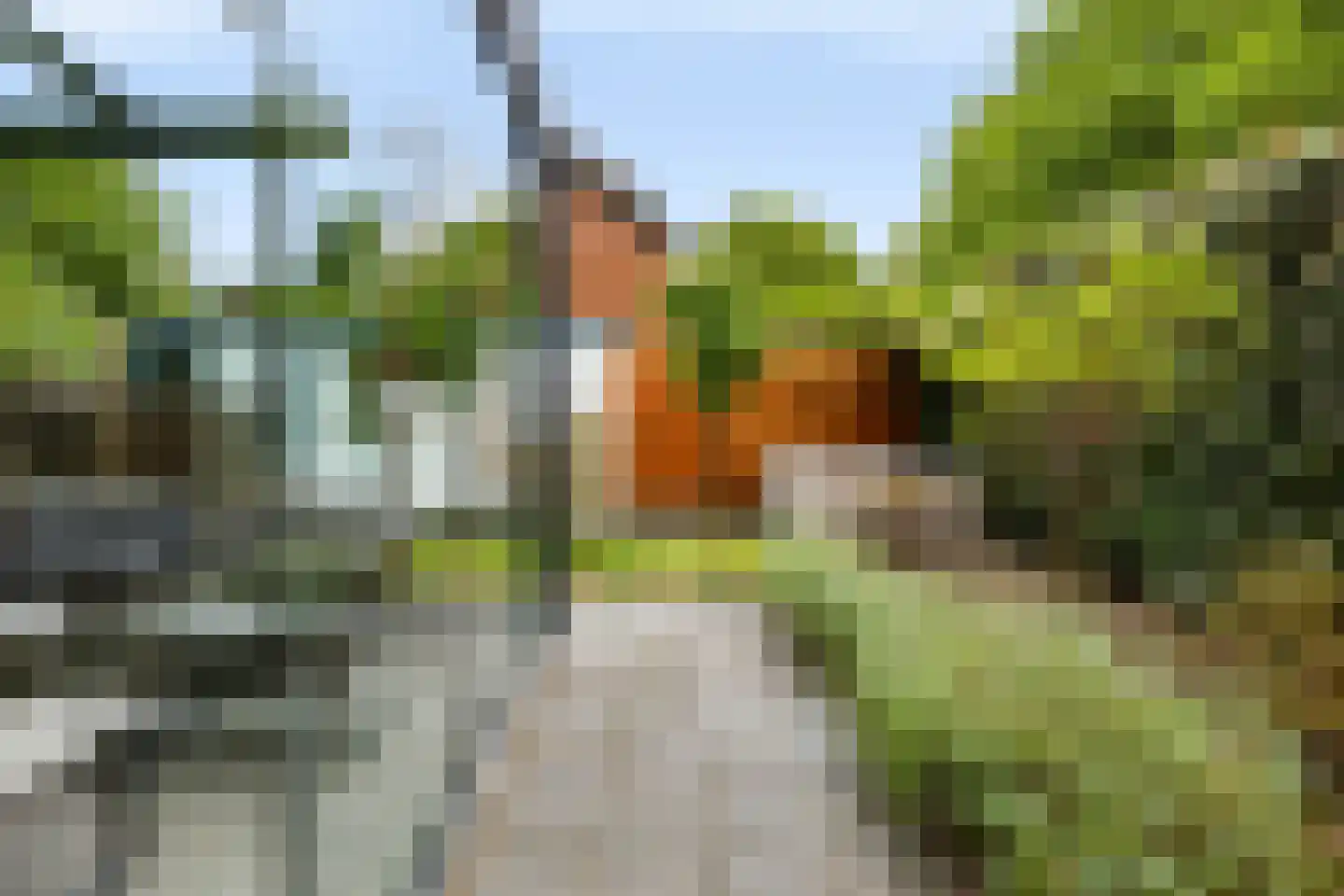 Drecht 11 Apeldoorn thumbnail 24