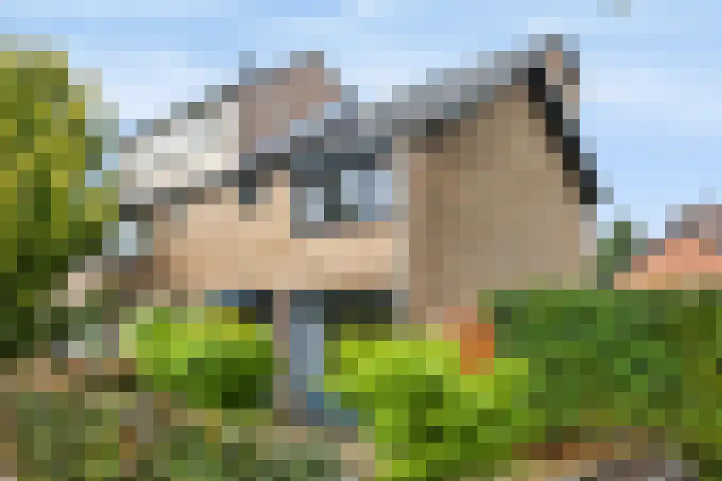 Drecht 11 Apeldoorn thumbnail 35