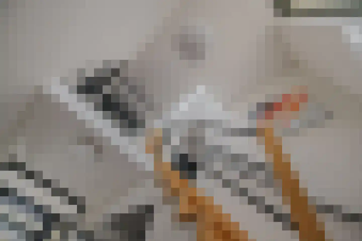 Drecht 11 Someren thumbnail 22
