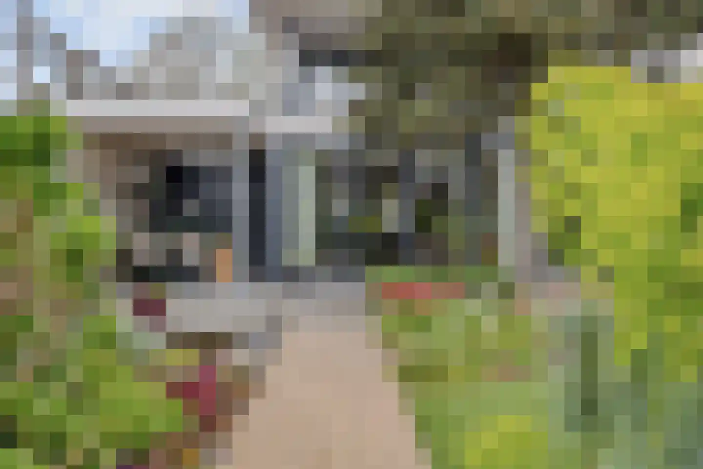 Drecht 11 Someren thumbnail 36