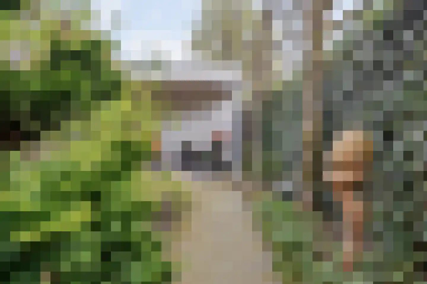 Drecht 11 Someren thumbnail 38